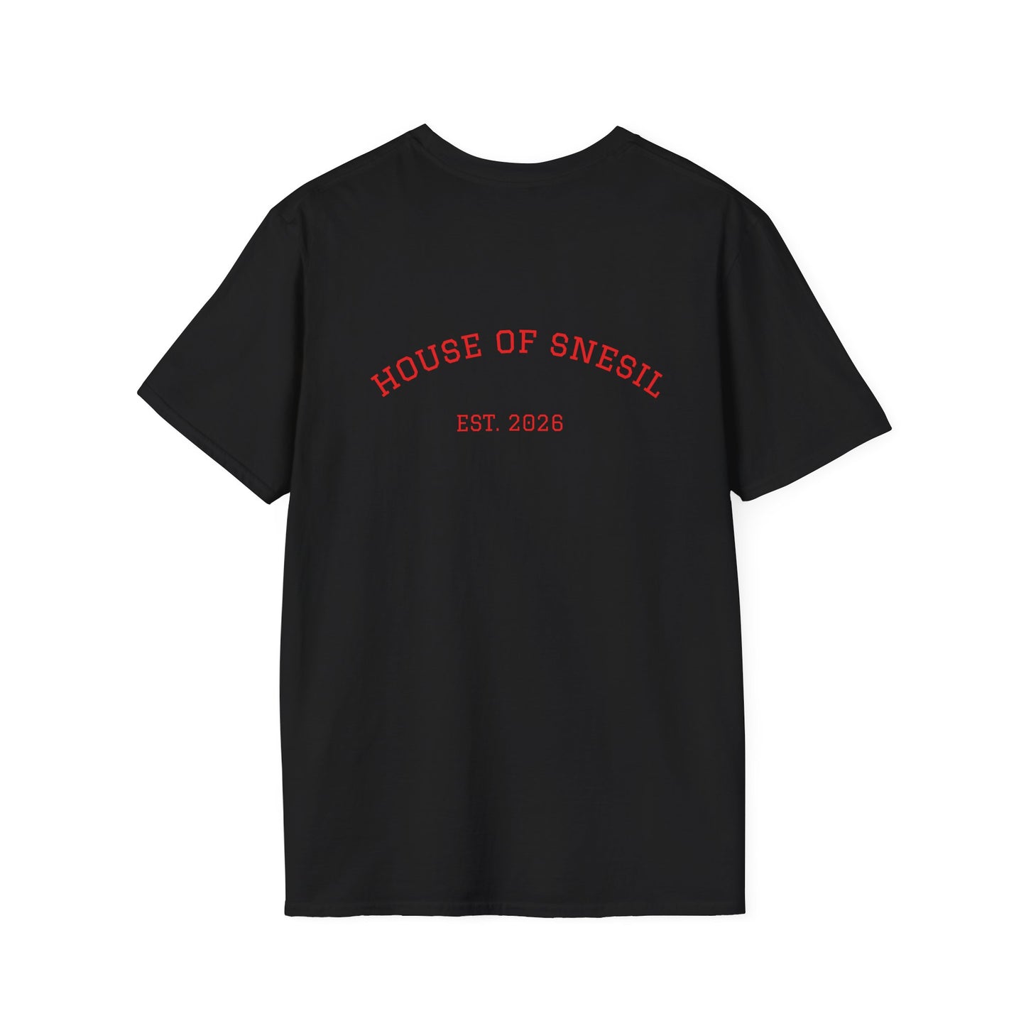 Himachal Vintage Collegiate T‑Shirt — 'House of Snesil • Est. 2026' Road‑Trip Tee